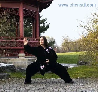 Tai Chi Workshop
