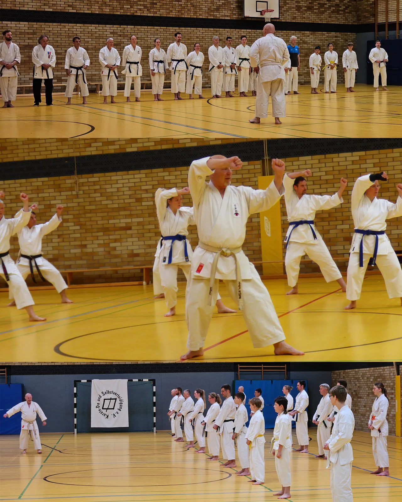 Karateka in weißen Anzügen beim Jubiläumslehrgang in der Halle, vorne eine Technik in tiefem Stand